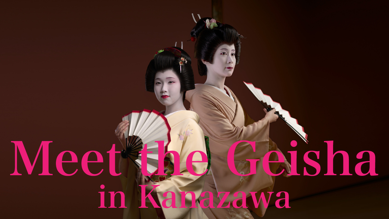 Meet a Geiko